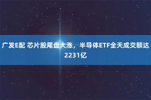 广发E配 芯片股尾盘大涨,半导体ETF全天成交额达2231亿